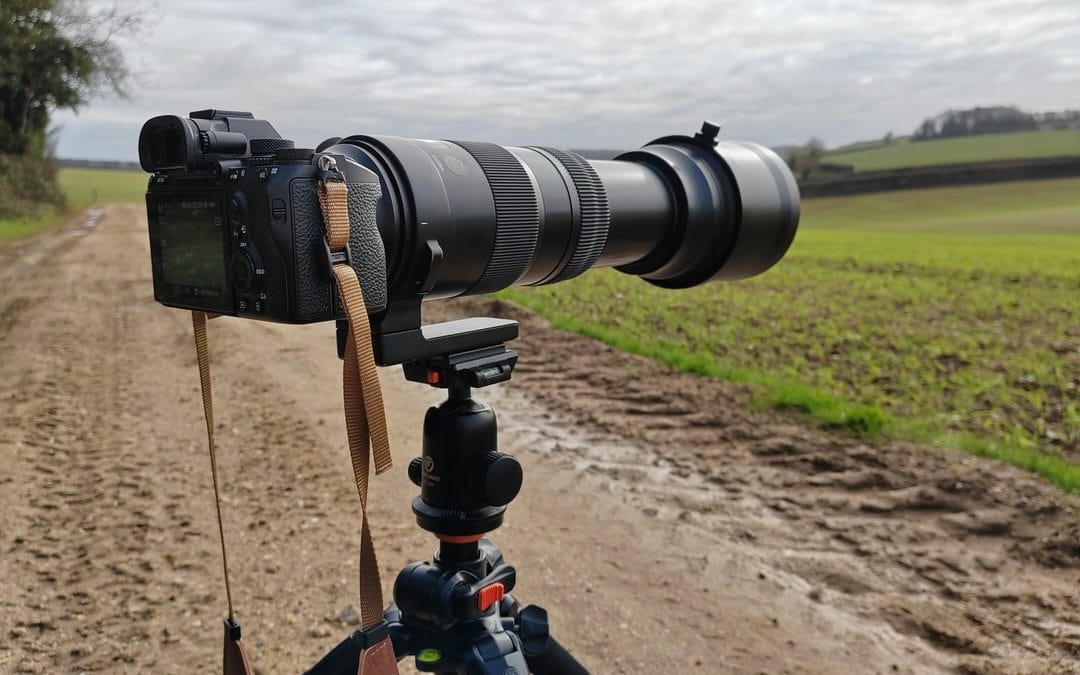 BTS: finding hares in Norfolk